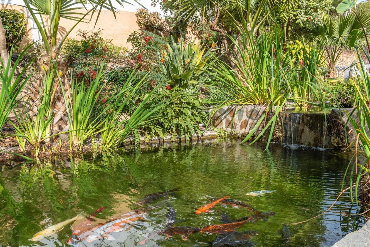 Palmas 2a Oasis Hébergement de vacances Nerja