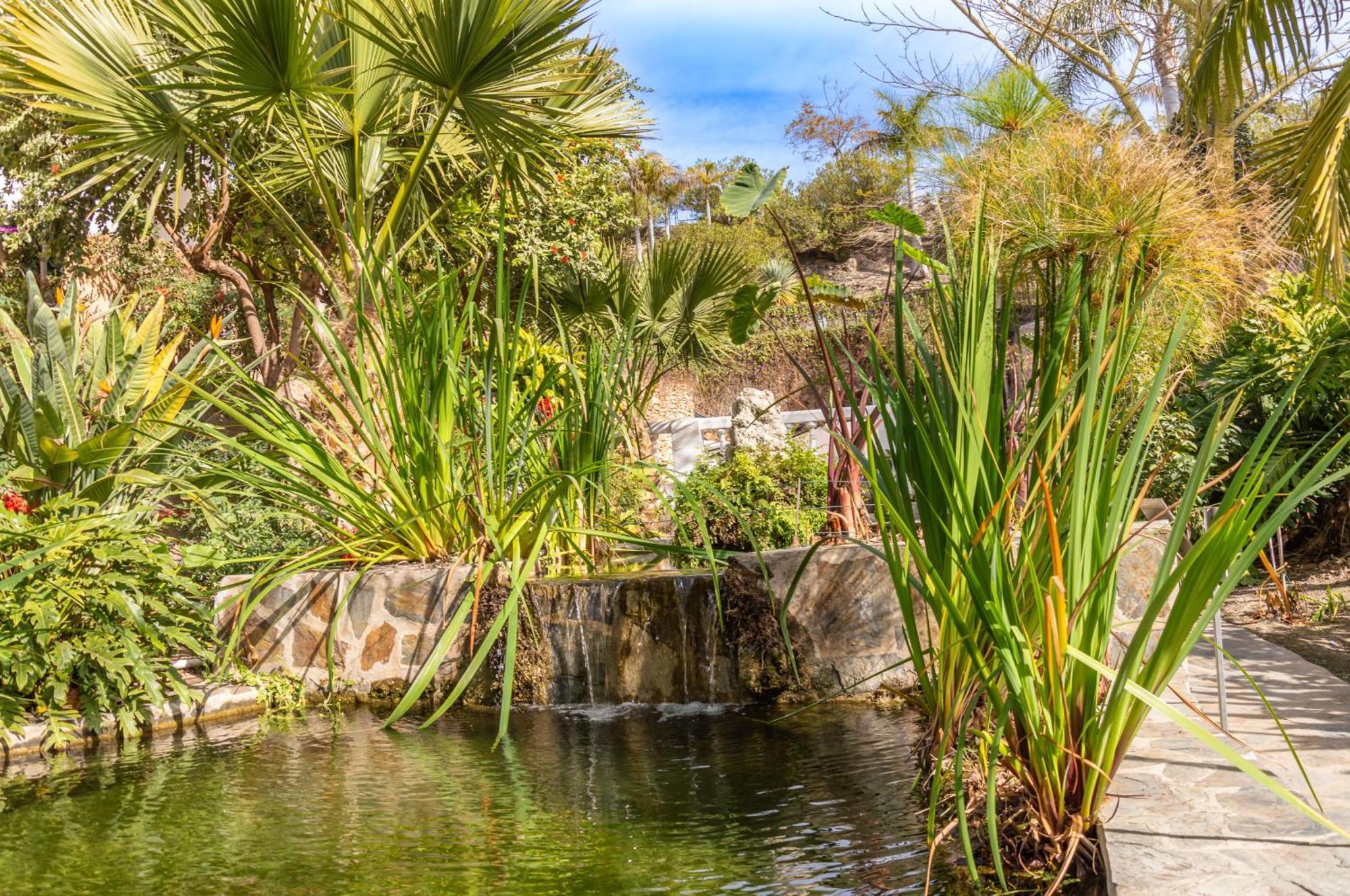 Palmas 2a Oasis Hébergement de vacances