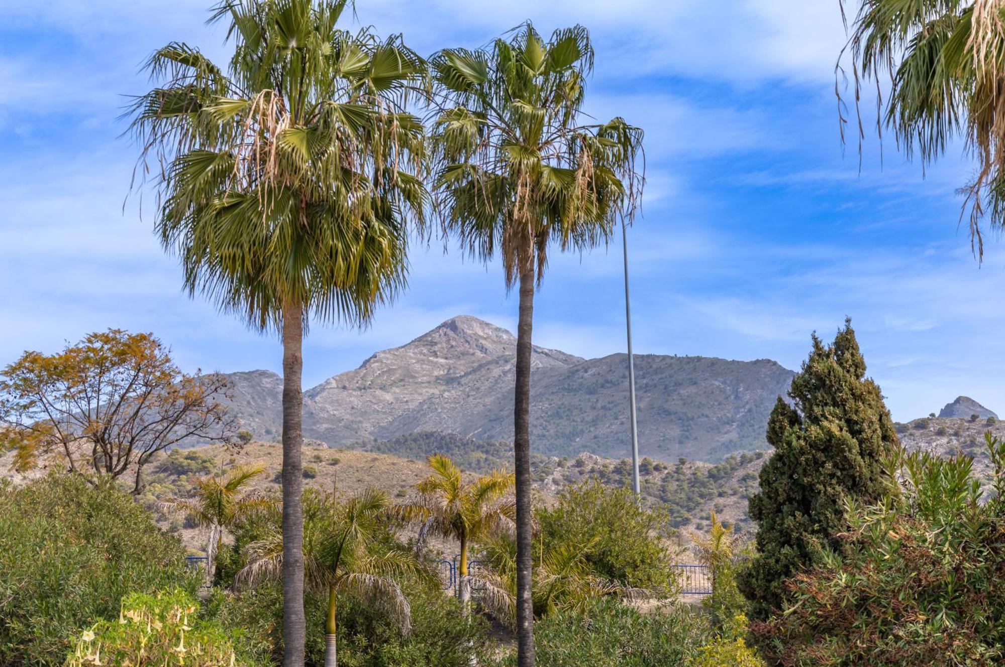 Hébergement de vacances Palmas 2a Oasis Nerja