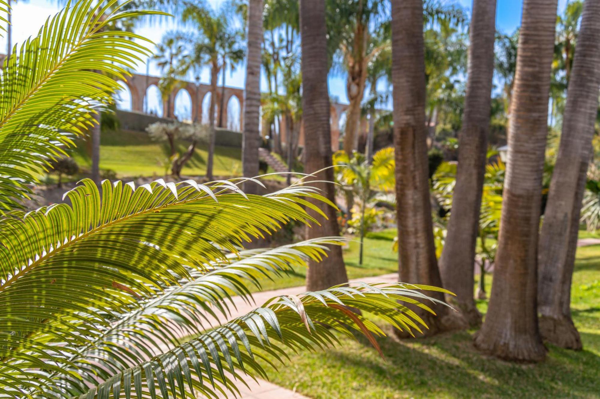 Hébergement de vacances Palmas 2a Oasis