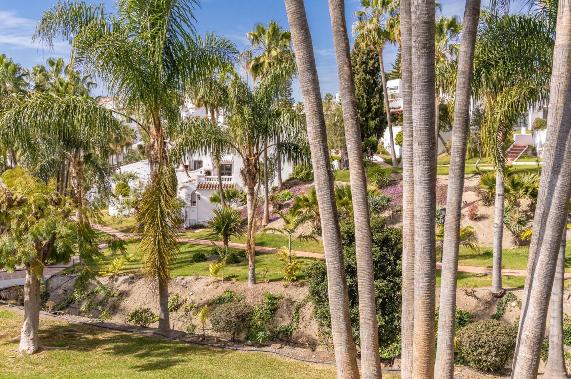 Palmas 2a Oasis Hébergement de vacances Nerja