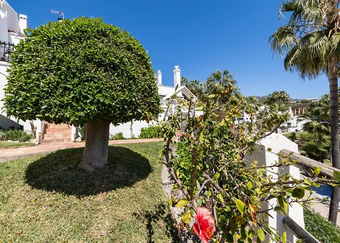 Las Palmas 2A Oasis Properties