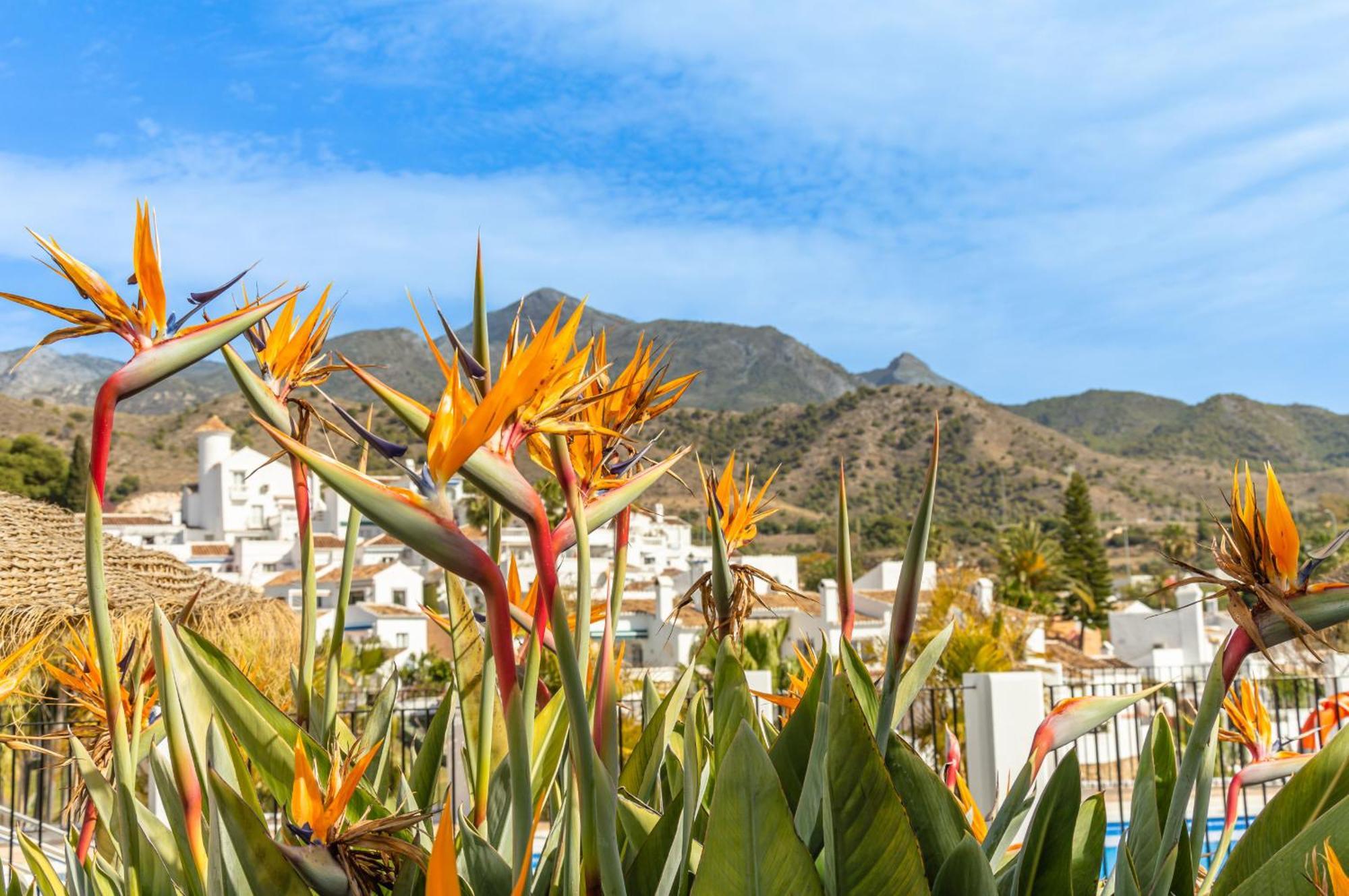 Palmas 2a Oasis Holiday home Nerja